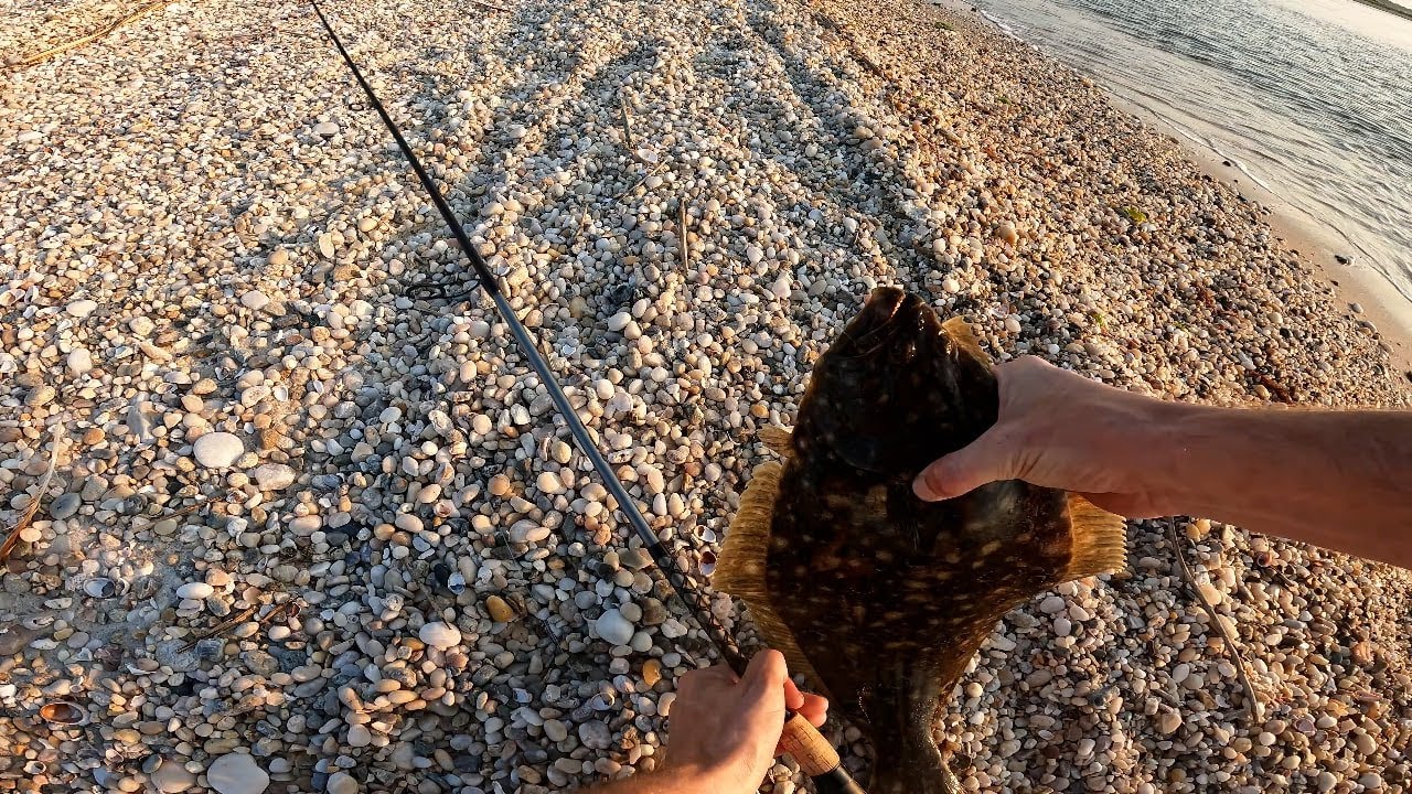 Keeper Fluke From The Beach  "Catch N Cook"