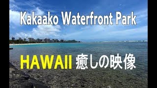 【HD】癒し映像・ハワイ カカアコウォーターフロントパーク　Kakaako Waterfront Park