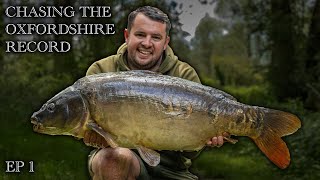 Chasing the 60lb Oxfordshire Record | Tom Maker | CineCarp TV