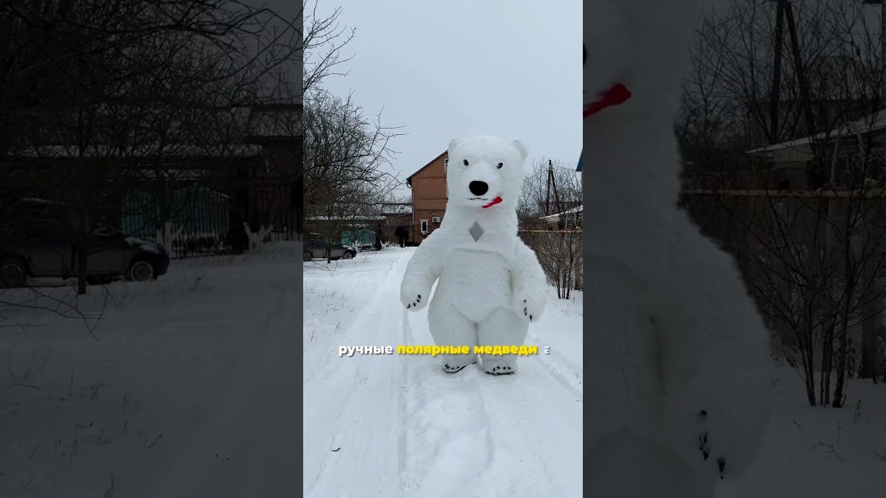 Дом 80 кв.м. на участке 4,8 сот.