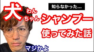 【犬】ワンちゃん用シャンプーについてトリマーさんに聞いた話と思った事【雑貨と化粧品と皮膚トラブル】