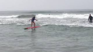 IMG 8229