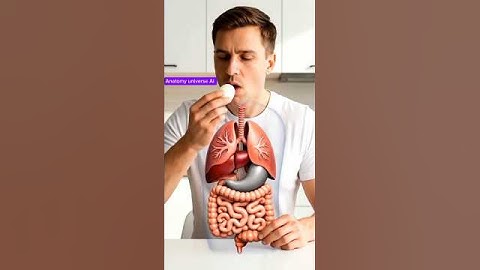 What really happens when you eat eggs every day / the science explained in 3D.