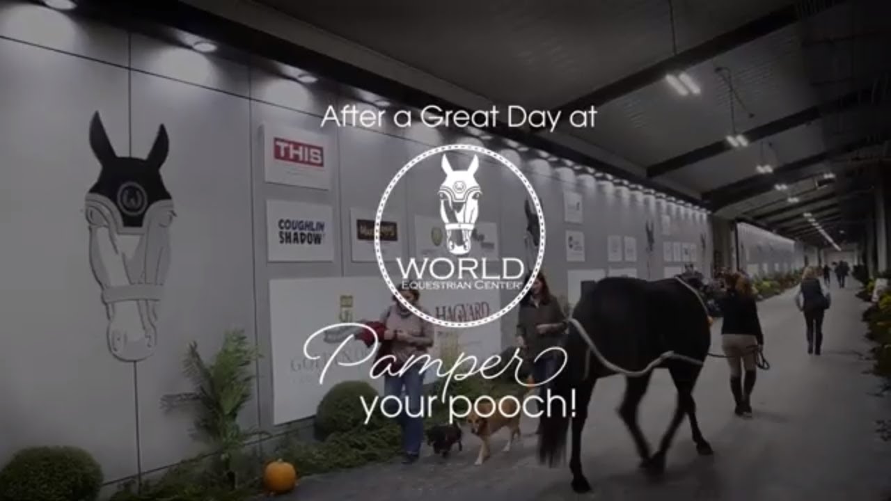 Pamper Your Pooch at World Equestrian Center