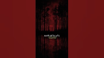 #القارئ ياسر الدوسري #ehsas_quran #quran #قرآن #ياسر_الدوسري #viralvideo #viral