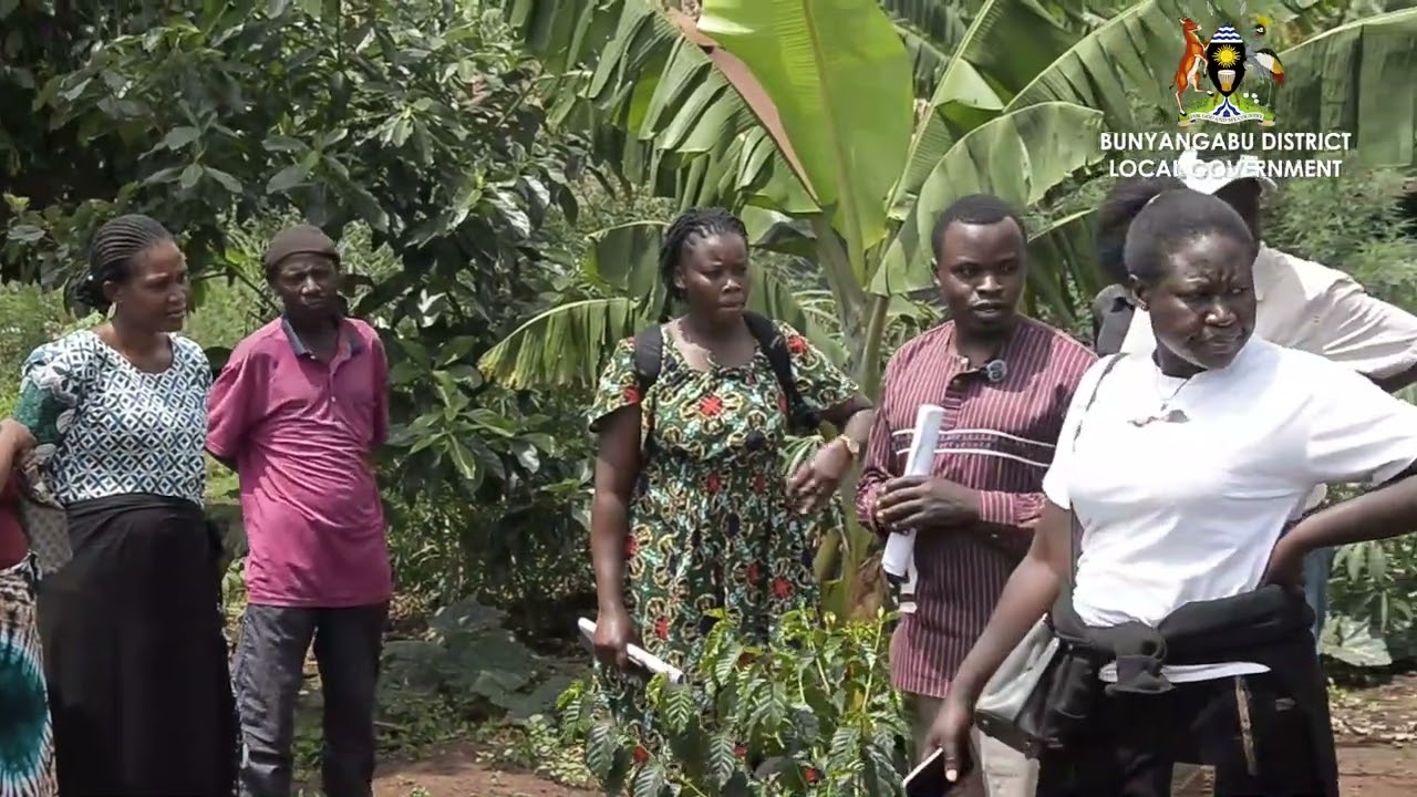 Farmer Field Visit in Rwimi Town Council, Bunyangabu District 