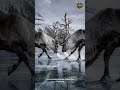 They Were Fighting To The D*eath — Then The Ice Broke And They Had To Choose