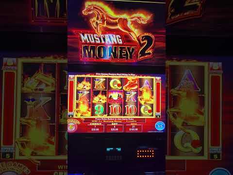 🔥 ¡¡ESPECIAL MAX WINS de seguidores en el día del AMIGO 🔥FELIZ DIA A TODOS!!