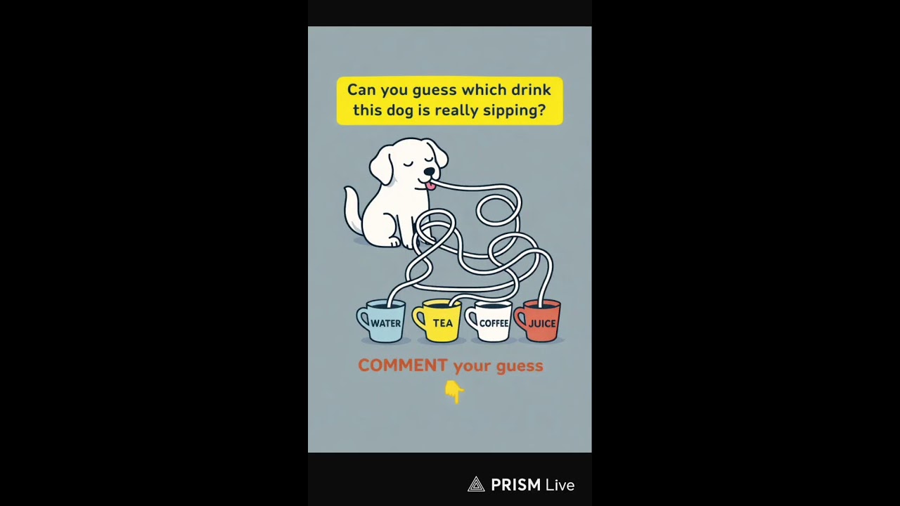 Live streaming of Sharp Brain Pro