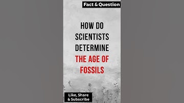 How do scientists determine the Age of Fossils? #sciencefacts