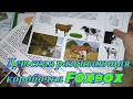 Детская развивающая коробочка Foxbox/ Домашние животные/ Victoria BY