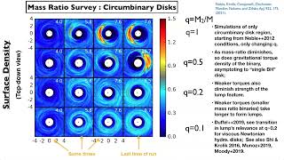 Electromagnetic Time and Wavelength Domain Predictions for Accreting Binary Black Holes
Accreting massive binary black holes in gaseous environments are key multi-messenger sources for the LISA mission. We will present some ofthe latest predictions of the observational signatures of accretingbinary black holes across the electromagnetic spectrum from the fieldand provide some of our own. In particular, we will provide a briefsummary of the progress made in our group to understand these systemstheoretically using high-performance simulations of generalrelativistic magnetohydrodynamics (MHD) and dynamic spacetimes.Simulating these systems realistically is challenging asradiation-coupled MHD must be considered over large dynamic ranges inspace and time. Constraining our view to the circumbinary disk regionfirst, we will show how the evolution duration, accretion disk size,mass ratio, and thermodynamics model affect the structure andvariability of the accretion flow. We particularly emphasize how theseparameters influence the over-density feature, or lump, which orbitsthe binary near the edge of the cavity, since it is responsible formost of the electromagnetic emissions variability a key signatureof a system being a binary. Extending to smaller length scales, wewill report on simulations following accretion all the down to theevent horizons so that we may begin to investigate how black hole spinaffects mini-disk dynamics, accretion rate, and jet power. We willalso report on our radiative transfer predictions for how black holespin alters the spectral energy distribution of these systems.Wrapping up, we will itemize the remaining key theoreticaltechnologies and directions needed to be accomplished to betterunderstand these sources, and assess strategies for searching for themin the coming decade.
Author and Presenter: Scott Noble Electromagnetic Time and Wavelength Domain Predictions for Accreting Binary Black Holes