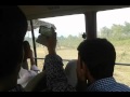 Tiger & Lion in Safari Park, Gazipur,Bangladesh.
