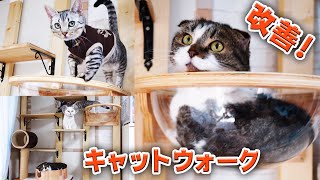 素人DIYキャットウォークをバージョンアップしたら猫大喜び！  Upgraded the DIY cat-walk by amateur!