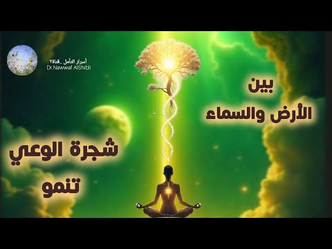 تأملات يومية غذاء للروح بين الأرض والسماء شجرة الوعي تنمو