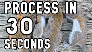 The fastest way to skin a squirrel