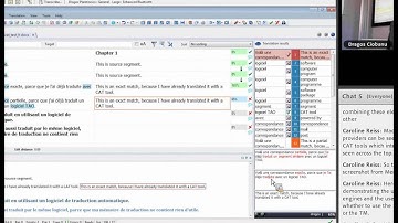 Demonstration of multilingual TTS, memoQ and DNS integration