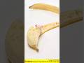 Banana Farming Tips for Beginners! 🌾🍌. #soultree #shorts