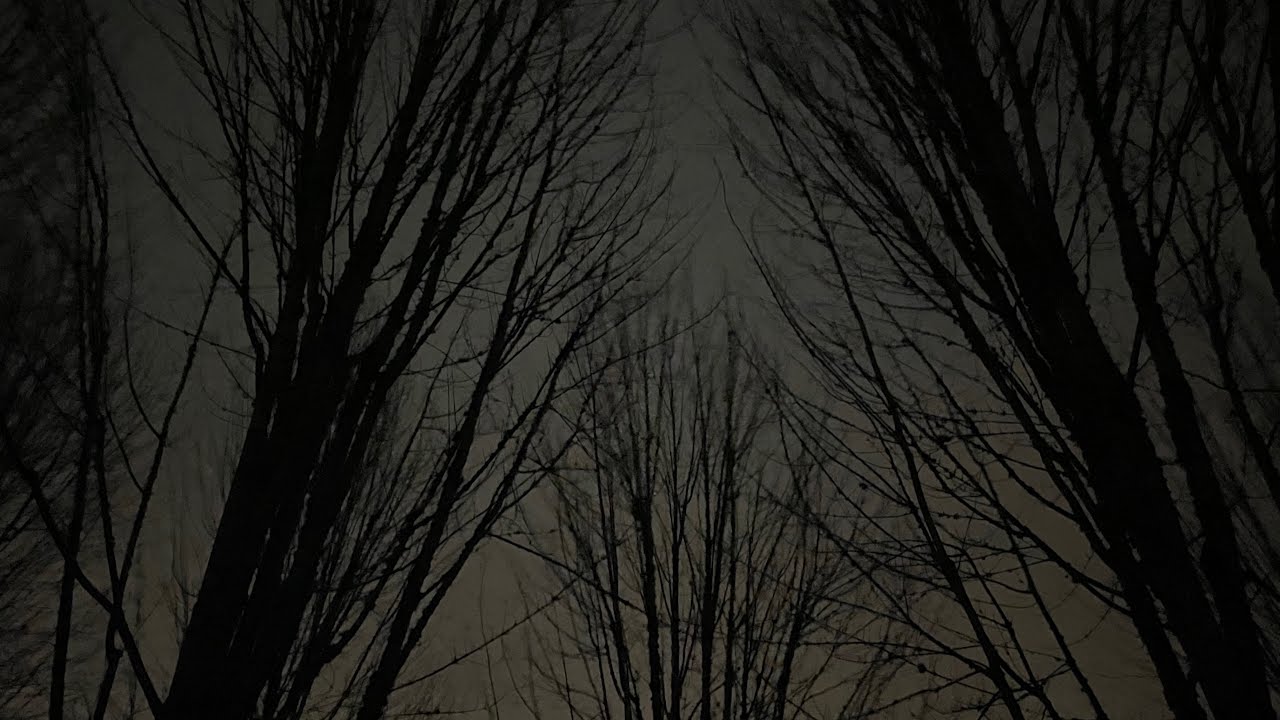 Eumempha - perspective (Official Audio)