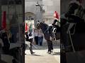 The Horses are back in the Sentry box #london #horse #respect #history