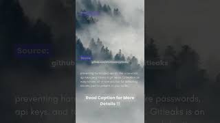 GitLeaks : Security Tool