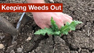 Keeping Weeds Out