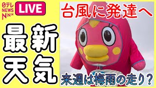 【最新天気ライブ】『週末の天気』台風1号発生か…今後の進路・週明け天気への影響は──気象ニュースライブ（日テレNEWS LIVE）