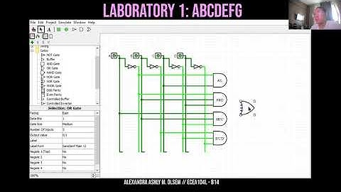 Digital Electronics Laboratory 1: Video Blog 2 (Olsem, Alexandra Ashly)