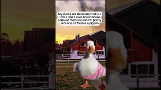 Anyone else feel like this? #adulting #ducksinarow #meme #apt #lifememe