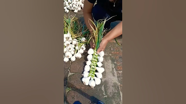लहसुन को सुखाने का बेहतरीन तरीका 🥳🧄🧄 #garlic #farming
