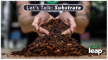 Bioactive Terrarium Substrate: Ingredients? Sustainability? DIRT?!?