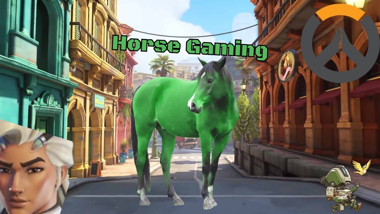 [OW2] Horse Rizz Gaming - YouTube