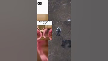 A scuffed Stalker food guide #shorts #blender #animation