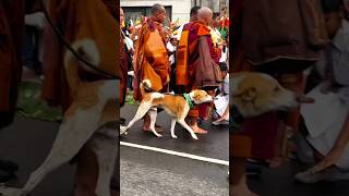 Aloka And Buddhist Monk.