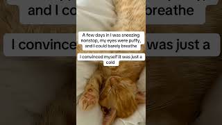 #cat mom #cat #catshorts #cats #catsofusa #catlovers #catlove #cathealth #catparent #cathealthtips