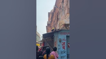 Crowd Confronts Monkey Thieves || ViralHog