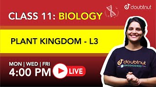 4 PM Class 11 NCERT Biology - PLANT KINGDOM By Shivangi Ma'am | L3 English Medium