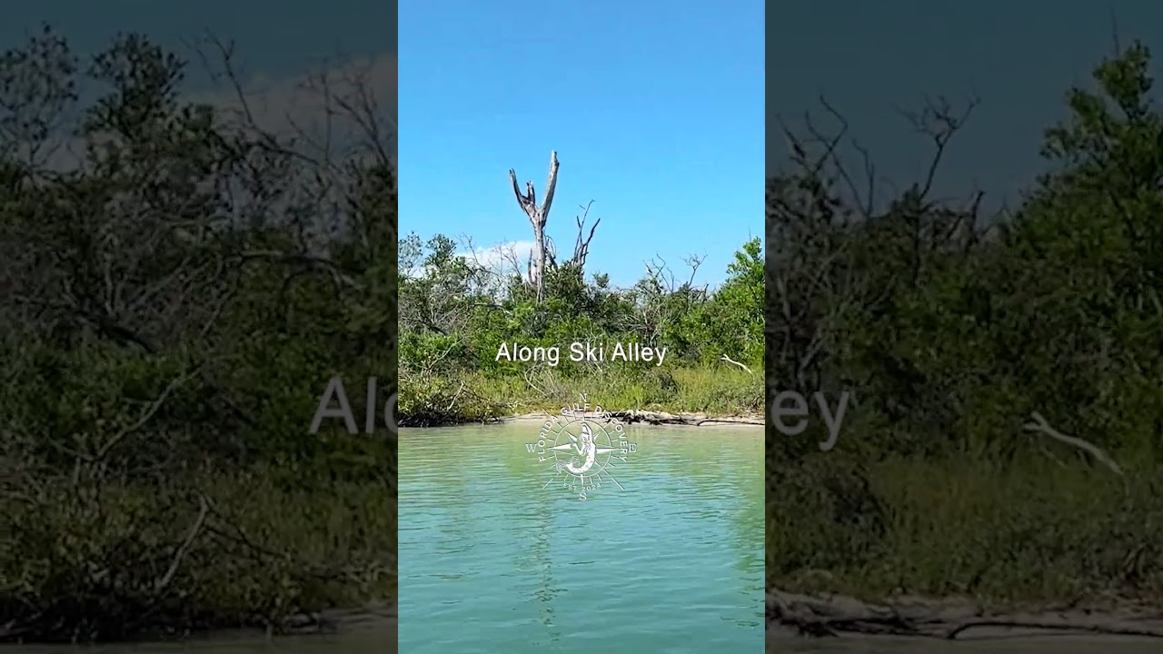 Along the Ski Alley in Stump Pass Beach State Park 