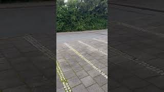 Friendships Pascal Letoublon