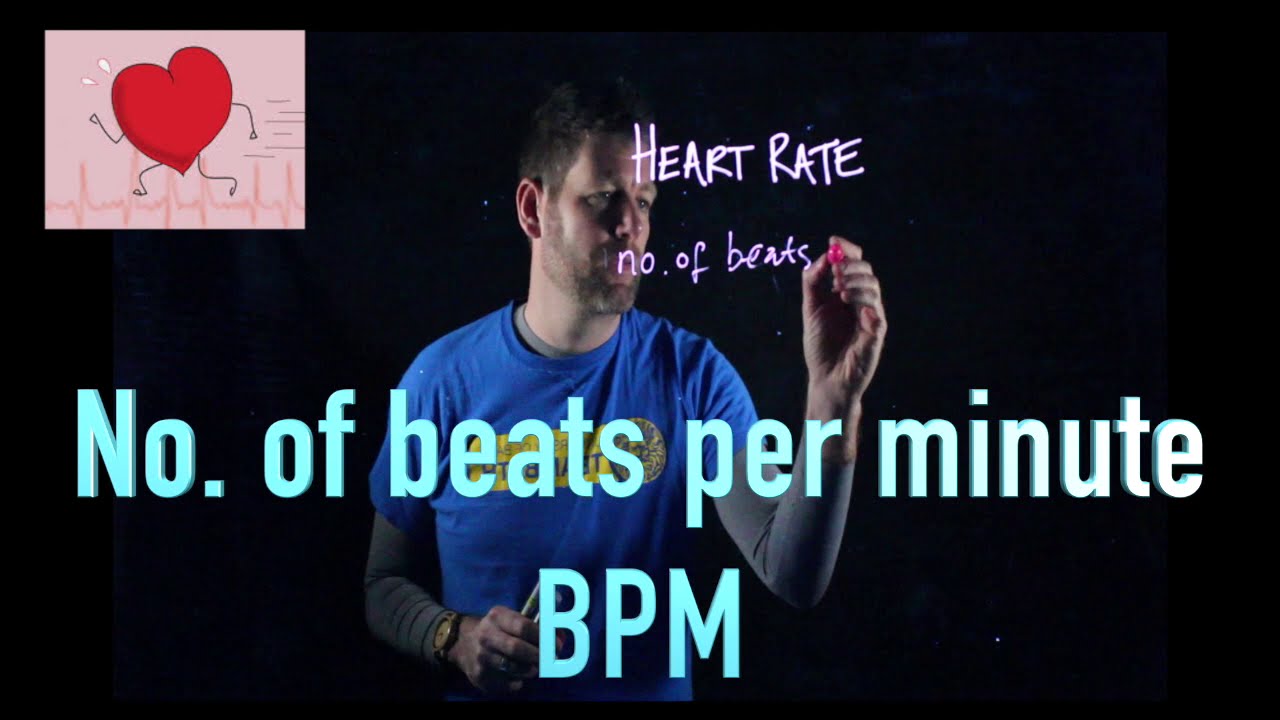 Video 29 Heart Rates. YouTube
