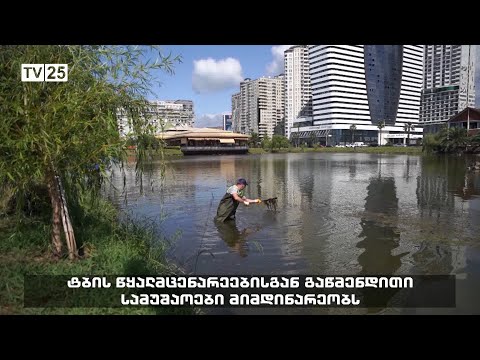 ტბის წყალმცენარეებისაგან გაწმენდითი სამუშაოები მიმდიანრეობს