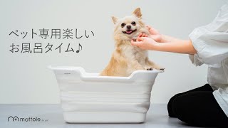 mottle（モットル）ペットバスタブ  PTL-Z001