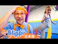 サーカスのわざをまなぼう | Blippi 日本語 - 幼児向け教育動画