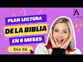 DÍA 56 | 1 CRÓNICAS 18 al 23 | PLAN LA BIBLIA EN 6 MESES