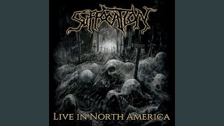 Surgery of Impalement (Live)