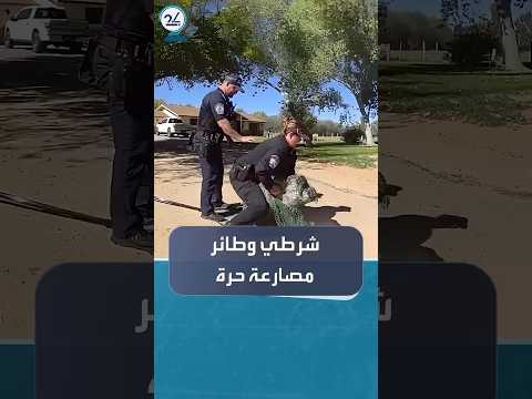 الشرطة الأميركية تصارع طائر إيمو هاربا في شوارع أريزونا