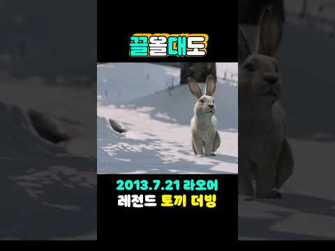 [끌올대도] 레전드 토끼 더빙