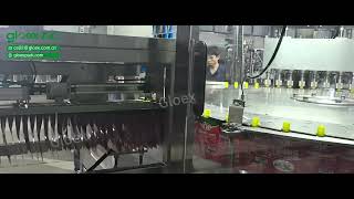 GPH081+Automatic spout bag feeding device-PP133