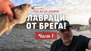 How to catch sea bass from the shore? / Limnos and SEBASS - 1 part