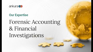 Forensic Accounting & Financial Investigations: Our Expertise